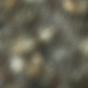 Meet your Posher, Simone